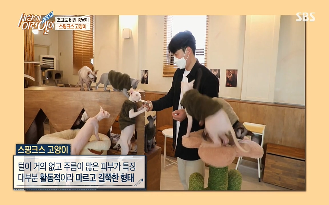 순간포착 세상에 이런일이.E1177.220427p-NEXT.mp4_20220427_180540.496.jpg