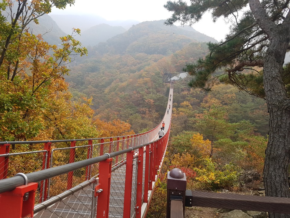  파주 여행, 감악산 출렁다리에서 가을을 만나다.(감악산 주차장, 야간개장 정보 등)