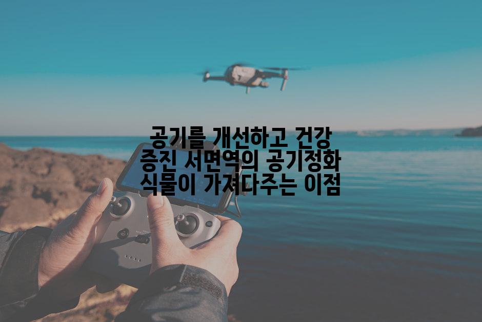 공기를 개선하고 건강 증진 서면역의 공기정화 식물이 가져다주는 이점