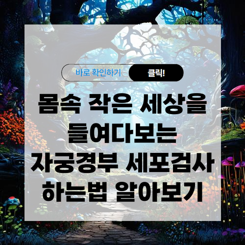 몸속 작은 세상을 들여다보는 자궁경부 세포검사 하는법 알아보기