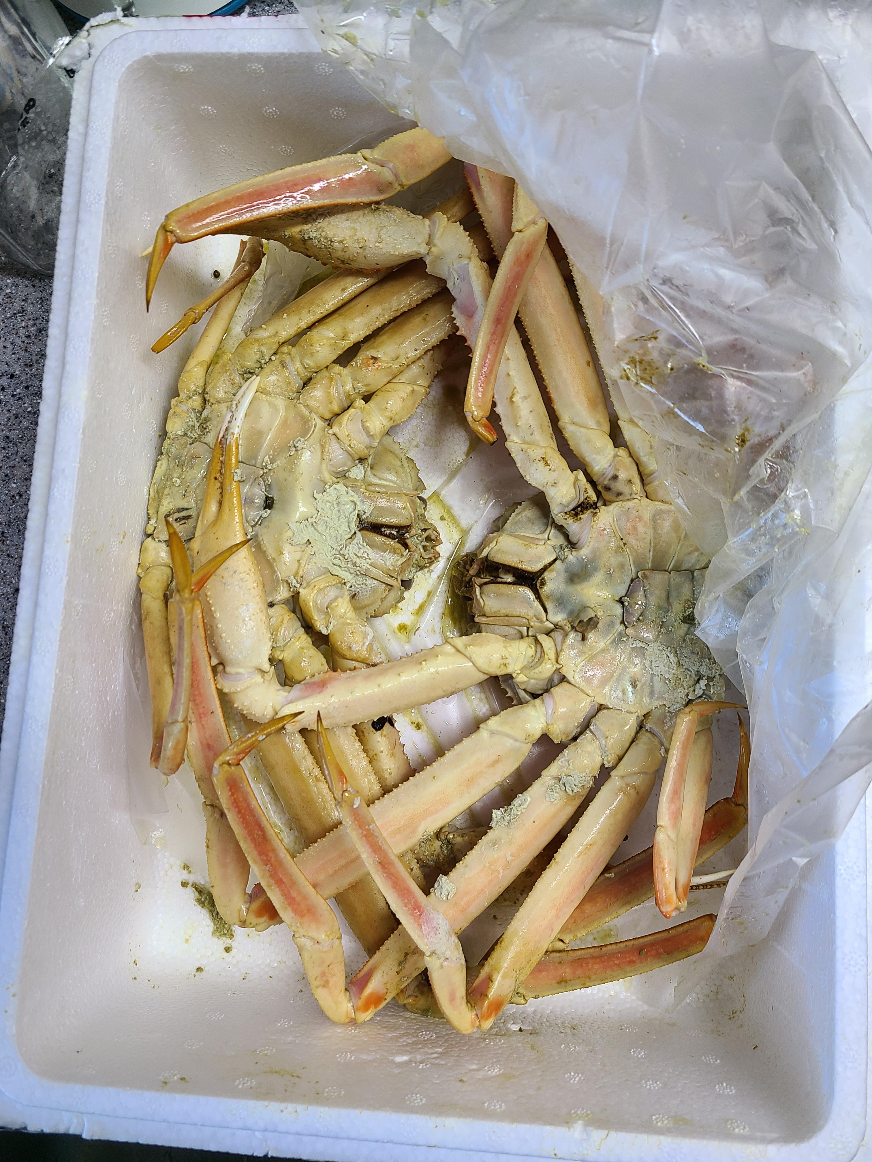 극한직업 대게 영덕대게 택배주문판매가 ebs극한직업장어와 대게