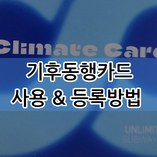  기후동행카드 구매 발급 방법과 티머니에서 등록하는 방법