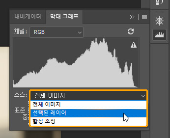 히스토그램 표시 레이어 선택
