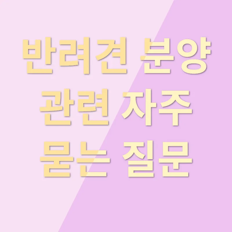 반려견 분양_4