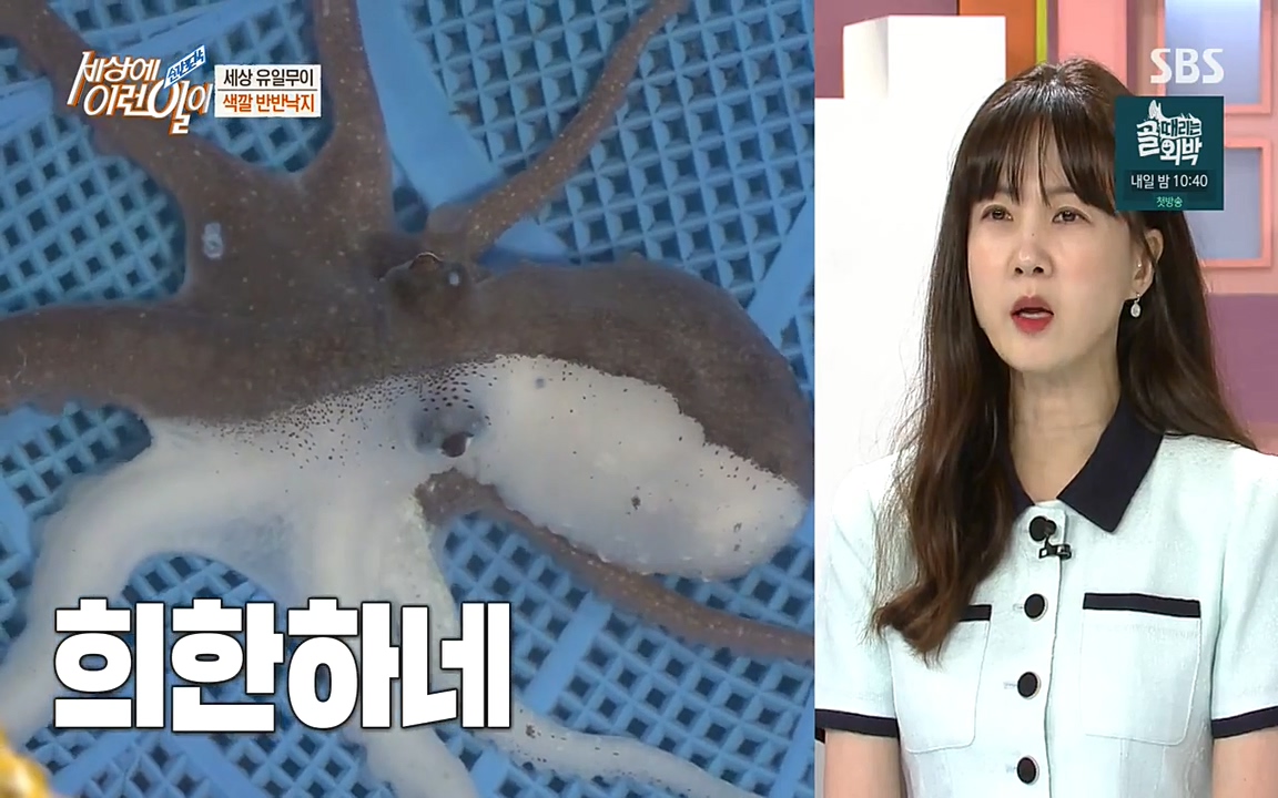 순간포착 세상에 이런일이.E1178.220504p-NEXT.mp4_20220504_172721.379.jpg