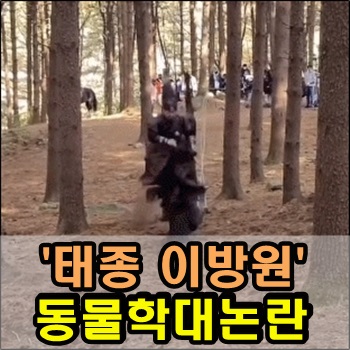  대하드라마 '태종 이방원' 동물학대 논란