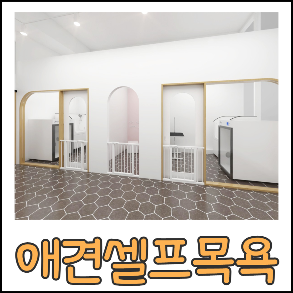애견미용창업가능한 영업환경 애견셀프목욕창업과 동시에 12