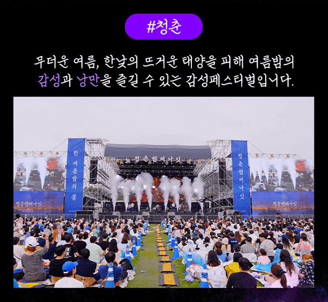 청춘썸머나잇 기본정보