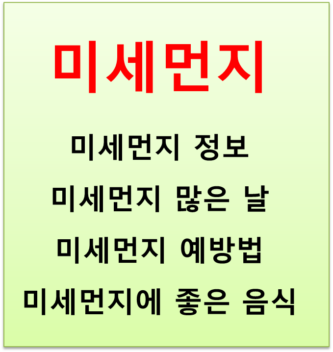  미세먼지 예방법 미세먼지에 좋은 음식 치매 위험