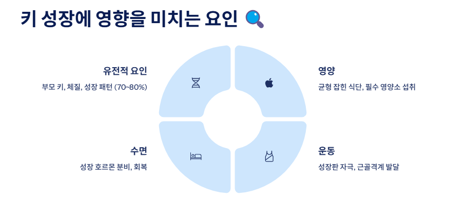키크는 방법과 시기, 음식, 운동, 생활습관 완벽 가이드