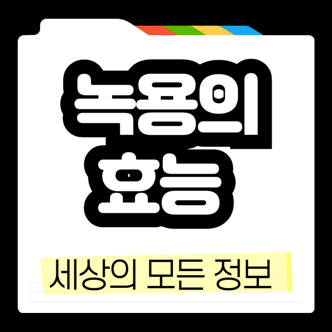 녹용의효능