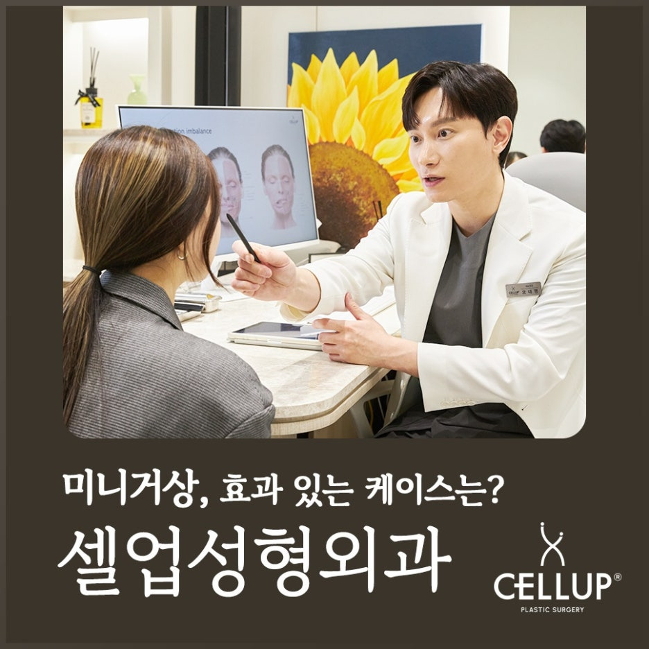 수케이스 이미지