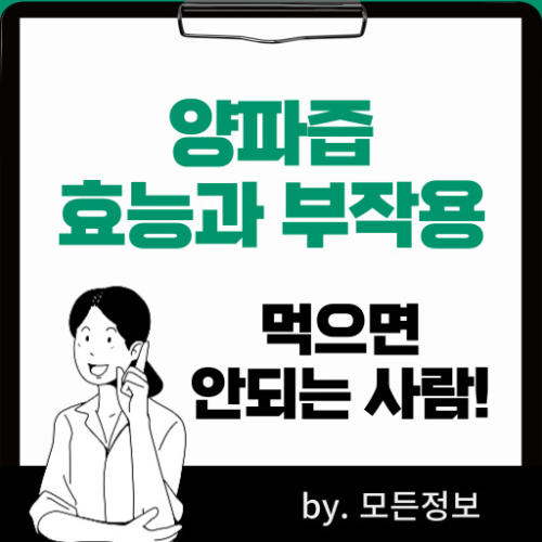 양파즙 효능과 부작용, 먹으면 안되는 사람, 집에서 만드는 방법