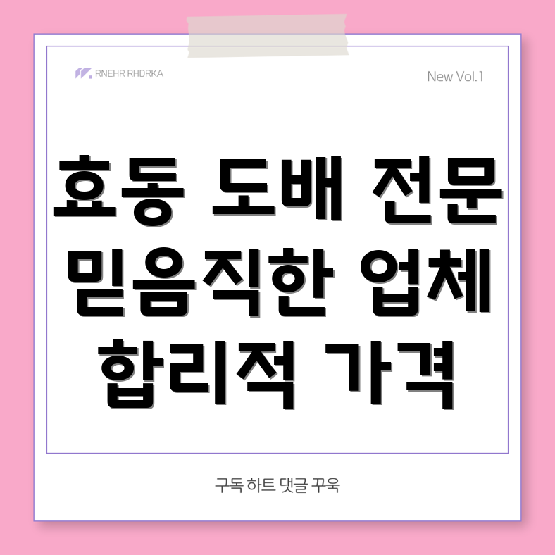 대전 동구 효동 도배