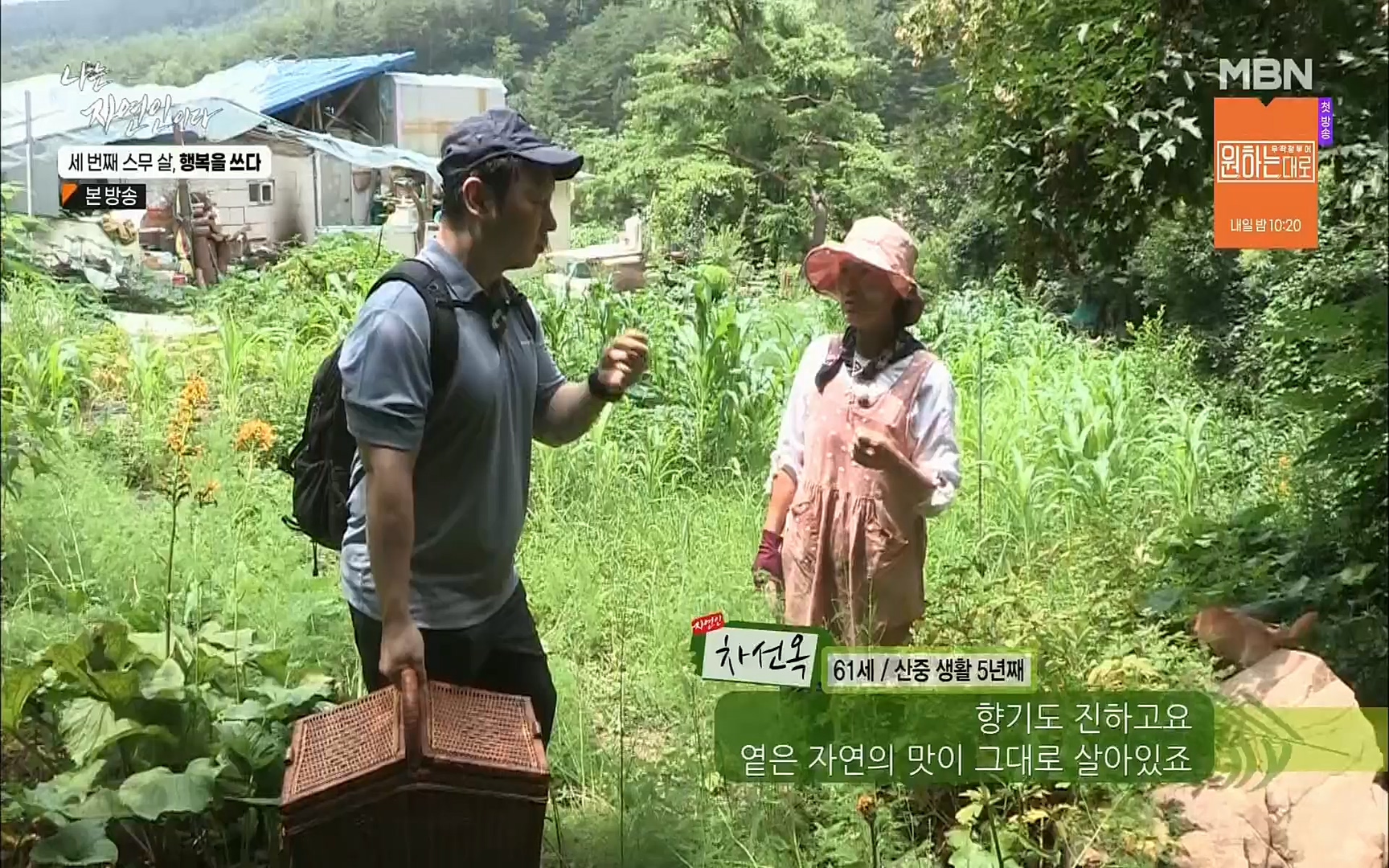 나는 자연인이다.E516.220824p.H264-F1RST.mp4_20220825_164133.407.jpg
