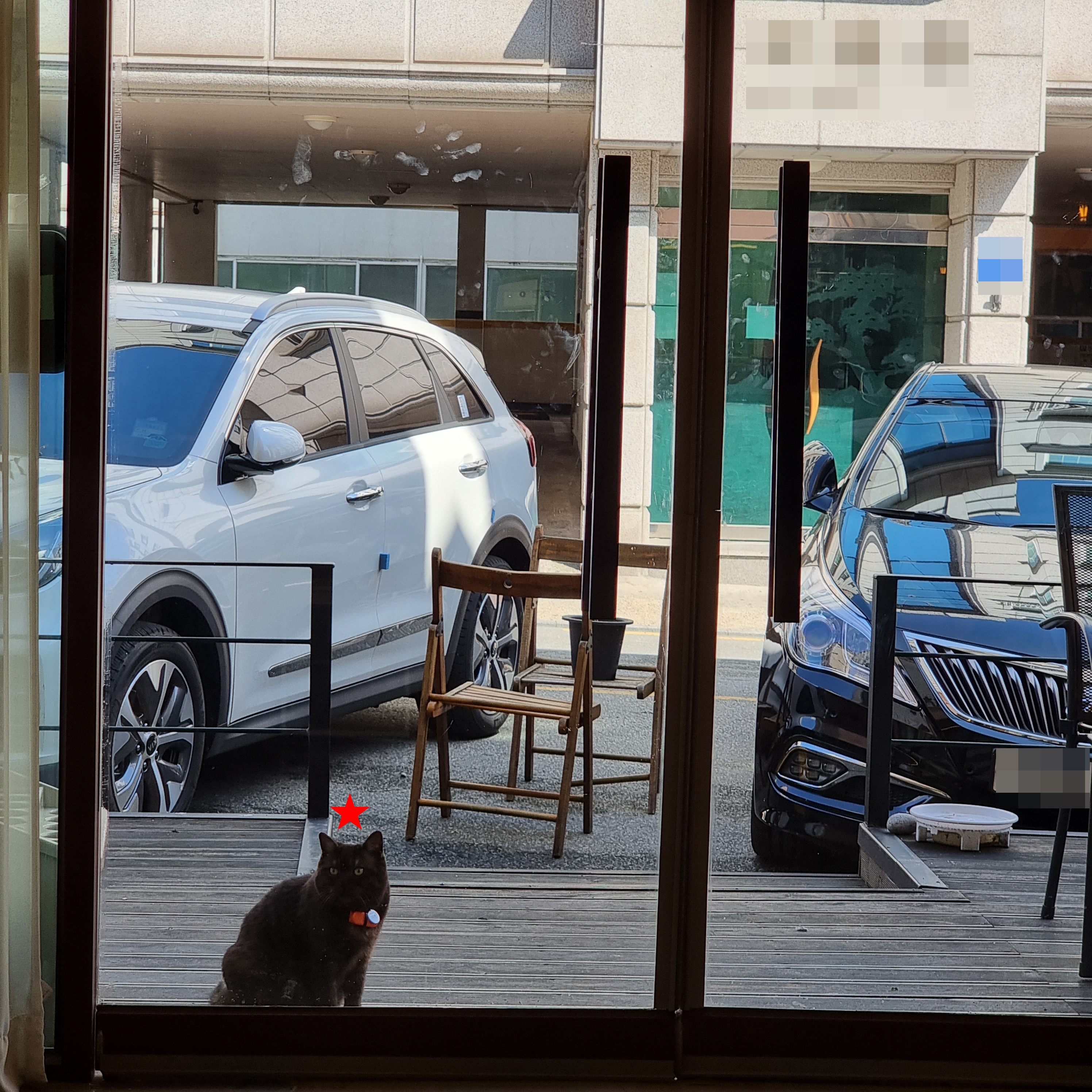온기 주인 고양이1