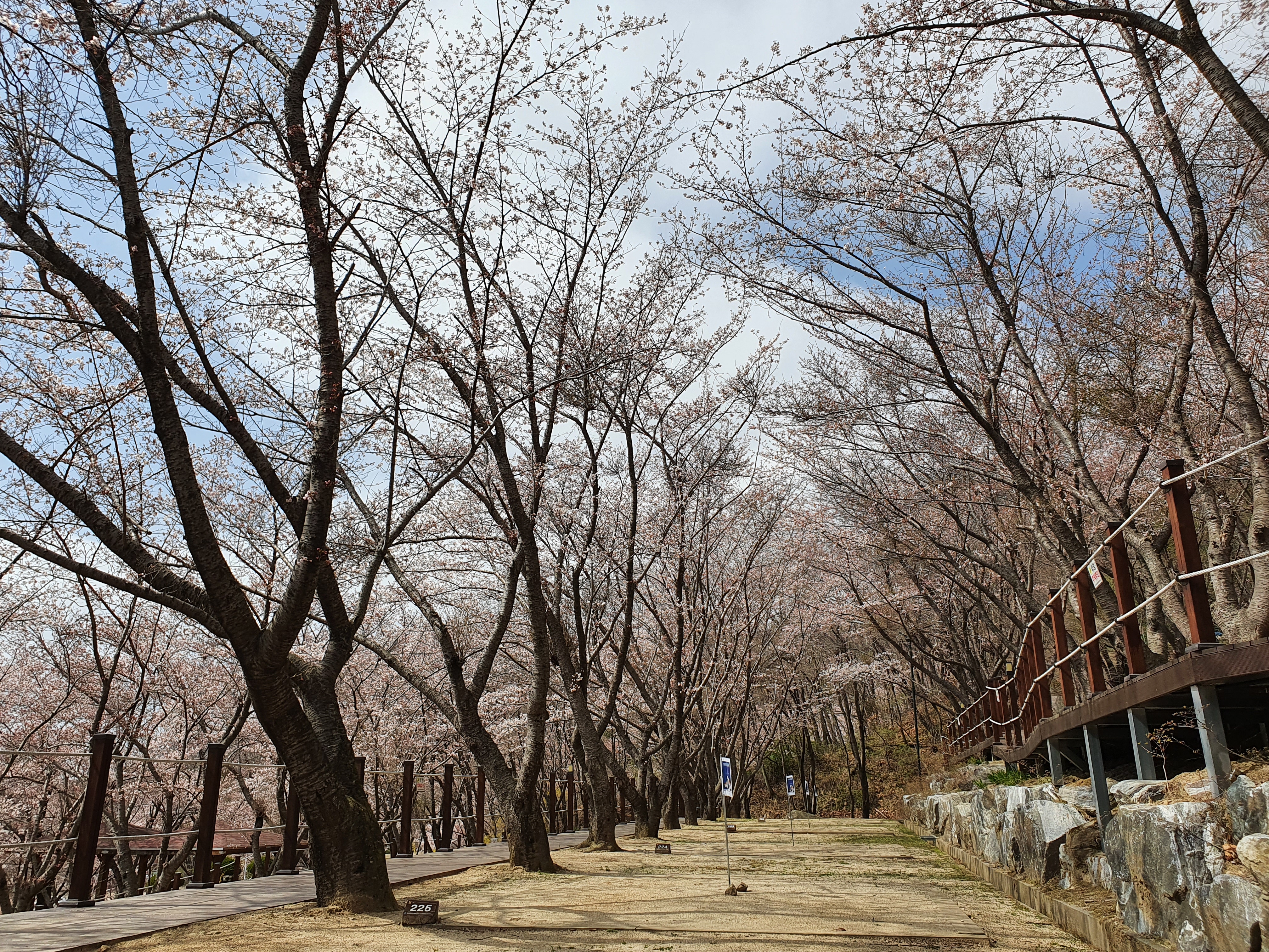 가산산성 야영장 B구역 226번