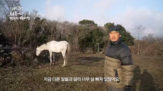 [189회] 다큐온 - KBS남훈 씨의 각별한 말 사랑] 연평균 1400여 마리의 경주마들이 경마장을 떠나 퇴역 경주마가 된다.ts_20230330_211144.930.jpg