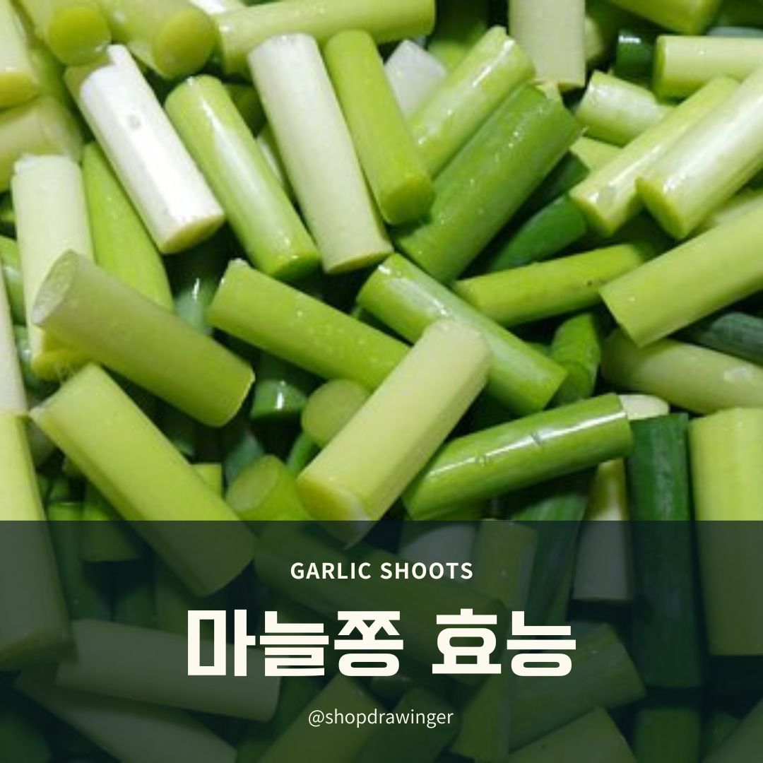 혈액순환에 좋은 마늘쫑 효능 알아보고 섭취하기