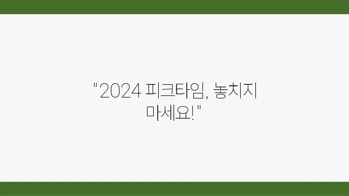 티켓팅 가능한 2024 피크타임 페스티벌, 어디서 예매할까?