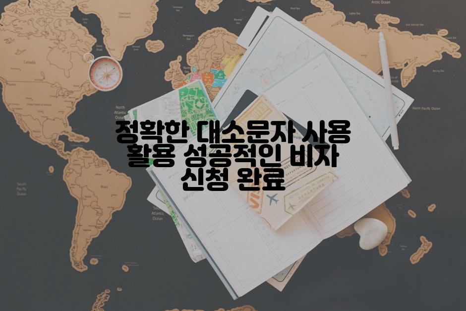 정확한 대소문자 사용 활용 성공적인 비자 신청 완료