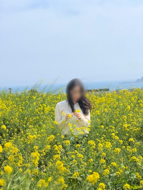 제주-유채꽃밭-꽃사진