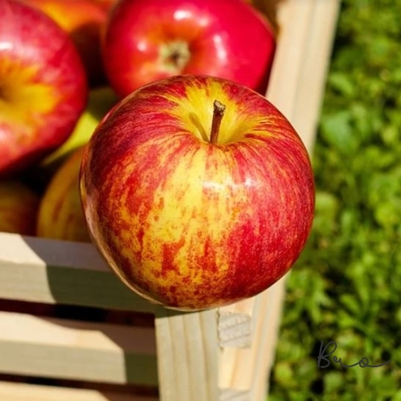 잘익은 사과를 상자 모서리에 올려 놓은 사진