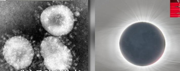태양 주위의 코로나 현상 닮은 코로나 바이러스