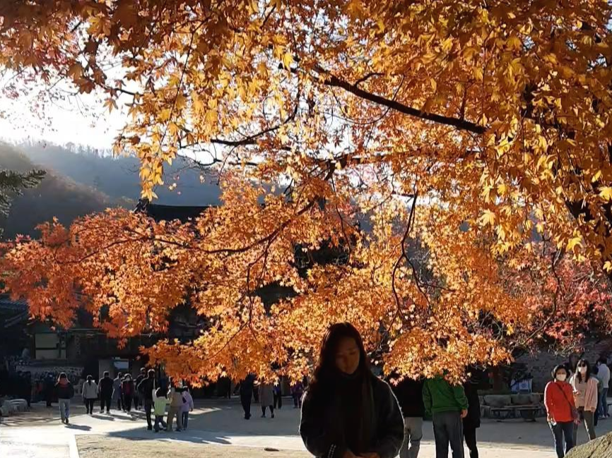  단풍나무 아래 서 있는 여자