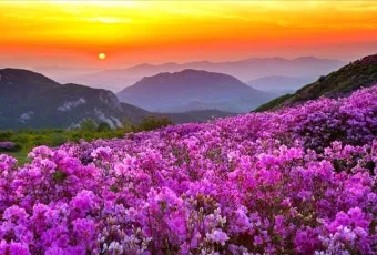 5월 경남 부산 근교 가볼만한곳 베스트10 명소_31