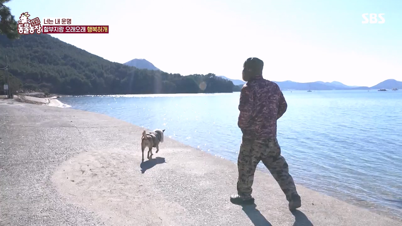 TV 동물농장.E1153.240108p-NEXT.mp4_20240107_173848.492.jpg