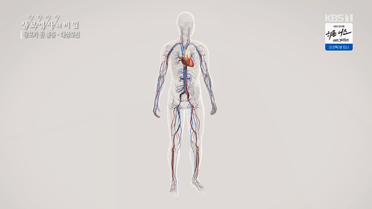 생로병사의 비밀.E857.230223p.H264-F1RST.mp4_20230223_202243.490.jpg