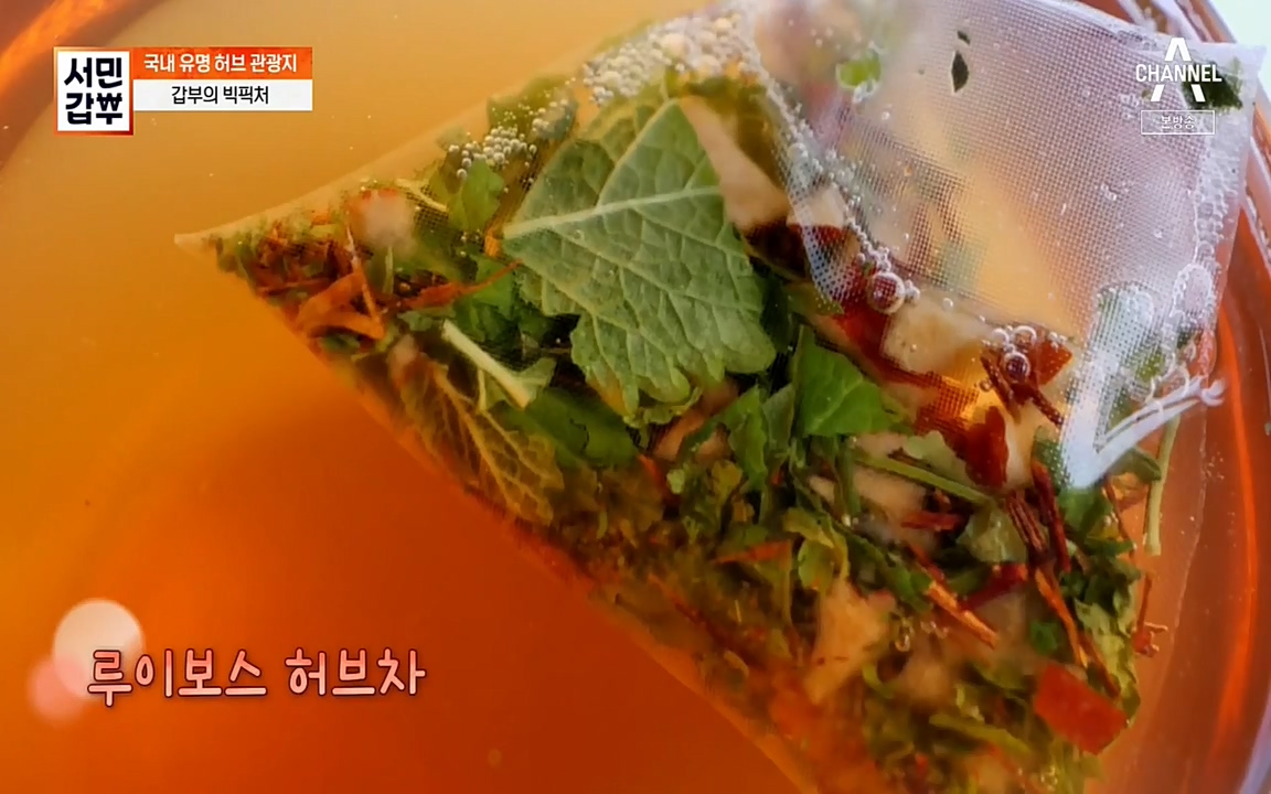 서민 갑부.E380.220424p-NEXT.mp4_20220424_184128.263.jpg
