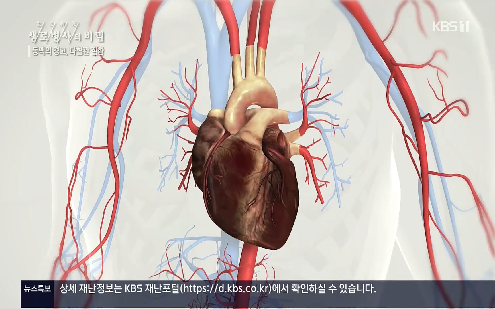 생로병사의 비밀.E831.220817p.H264-F1RST.mp4_20220822_185309.156.jpg