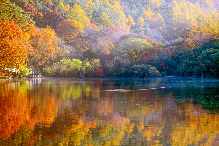 청송주산지