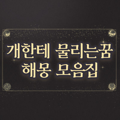  개한테 물리는 꿈 개꿈,강아지꿈 해몽모음집
