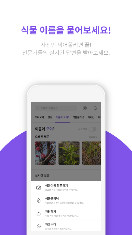 모야모,식물 식별, 병충해 진단, 야생화, 봄꽃종류, AI 식별 기술, 대한민국 1위 식물 앱