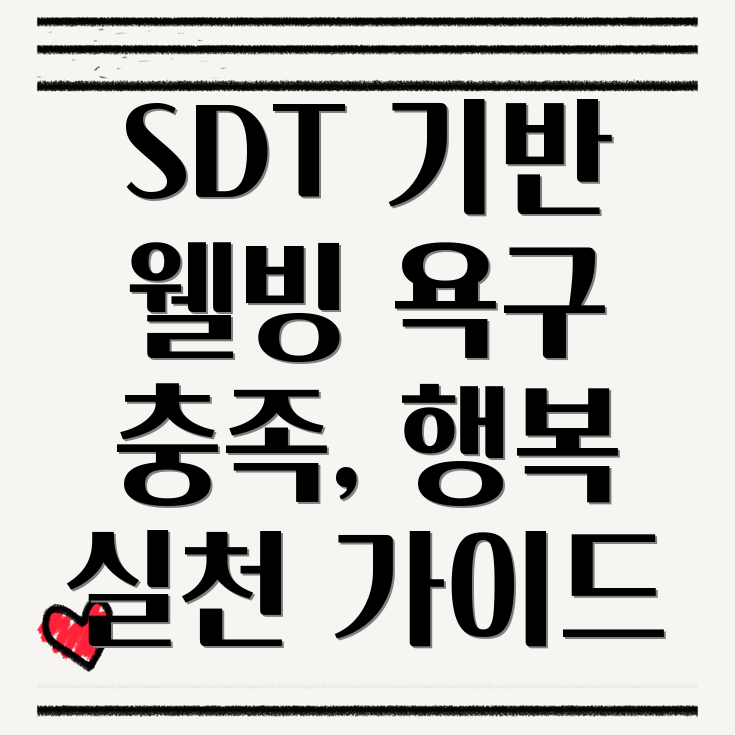 SDT (자기결정이론)