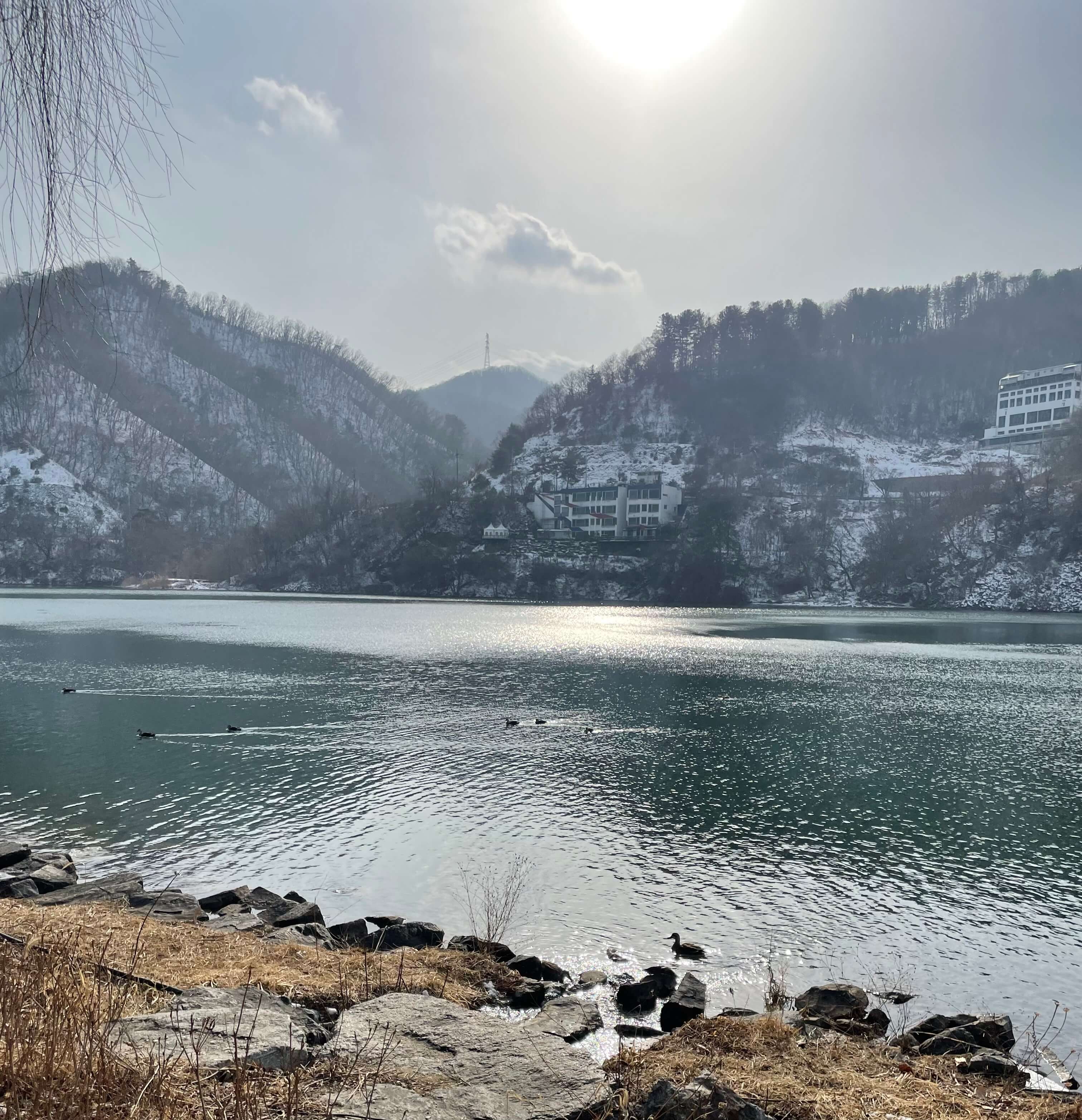남이섬-풍경2