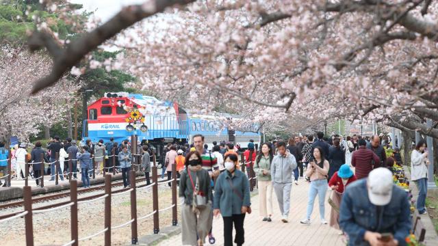 진해 군항제 벚꽃축제 안내 (2023 최신버전) 60