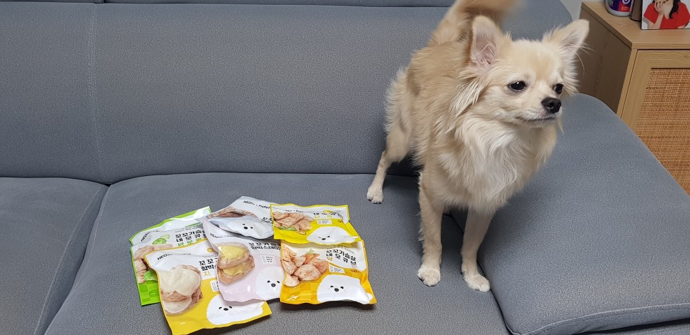 [강아지간식]허닭x핏펫몰 꼬꼬가슴살 맛있는 냄새로 19