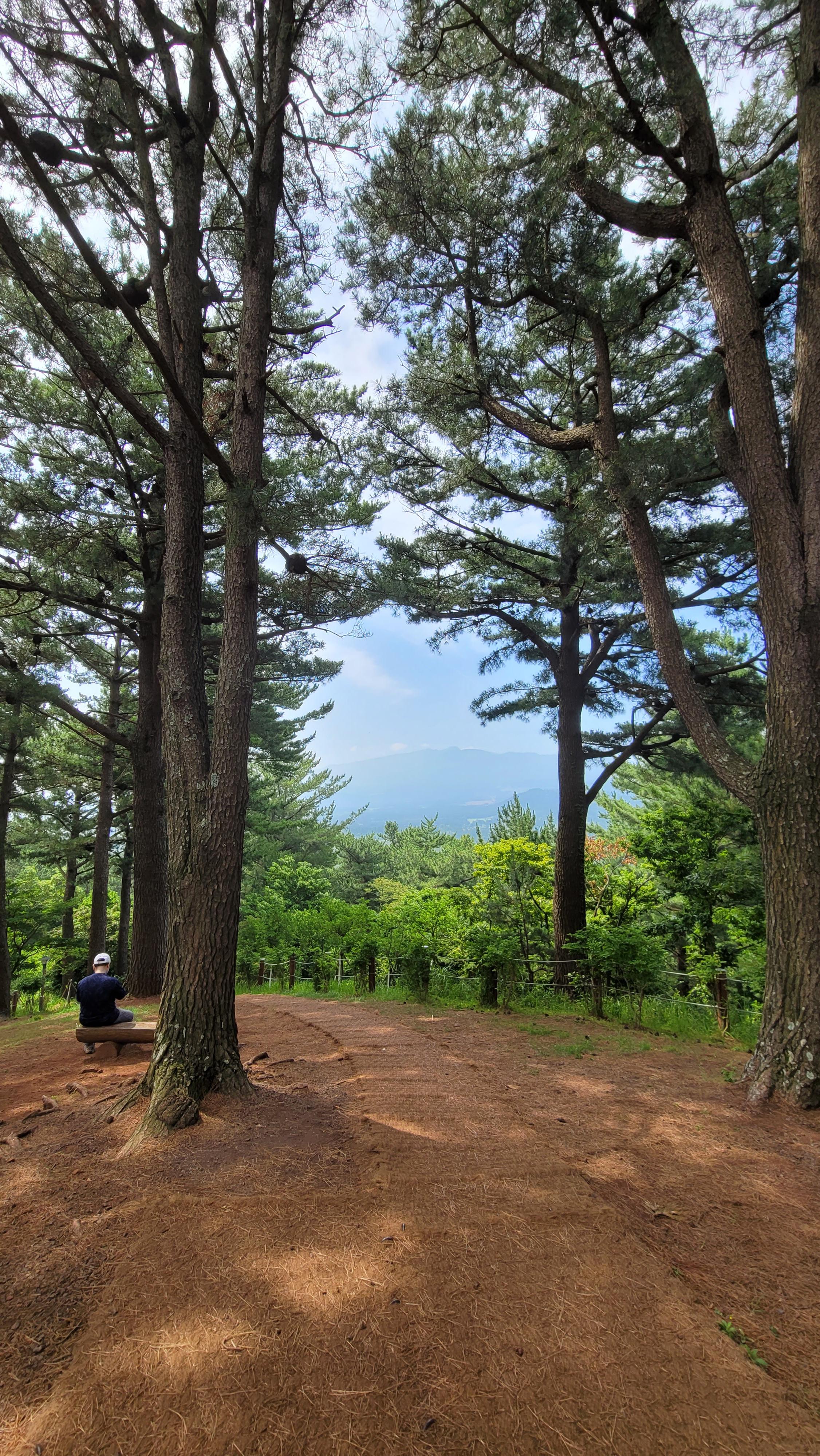 제주한라수목원