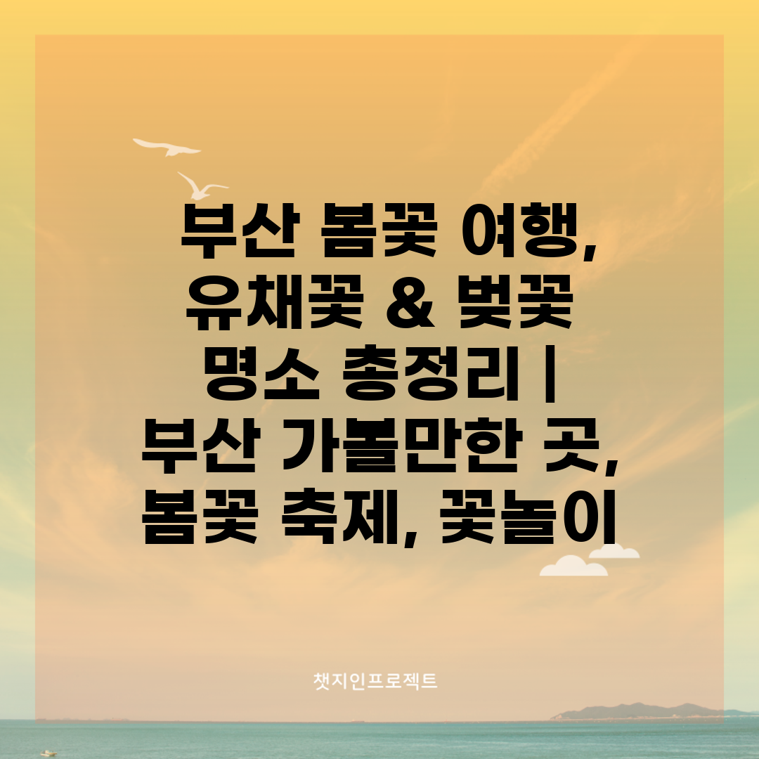  부산 봄꽃 여행, 유채꽃 & 벚꽃 명소 총정리  부산