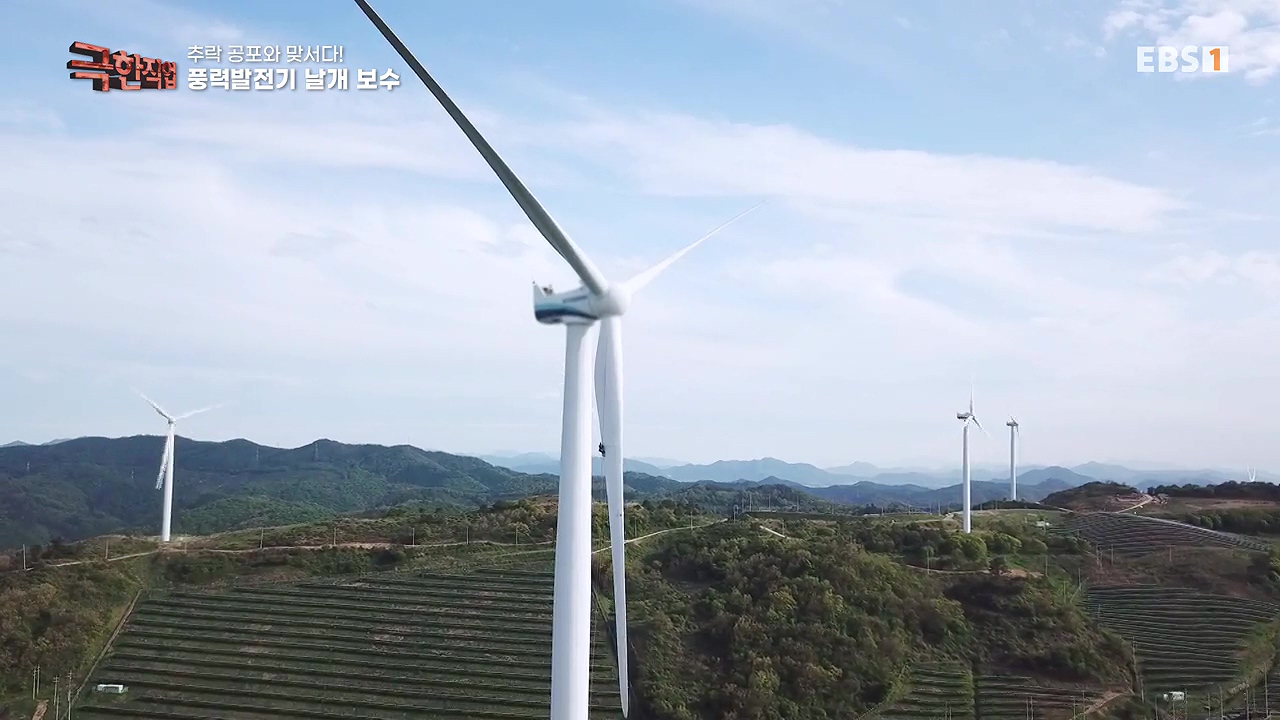 TV - 전 국민의 평생학교 EBS추락 공포와 맞서다! 고공 작업자.mp4_20240604_203226.071.jpg