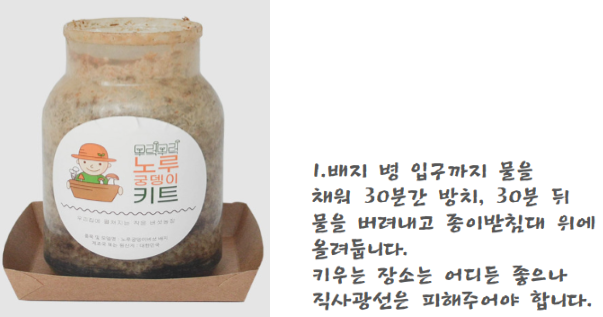 헬리콥터라 버섯 재배에 큰 성공, 버섯 재배 키트 및 팁 공유 6
