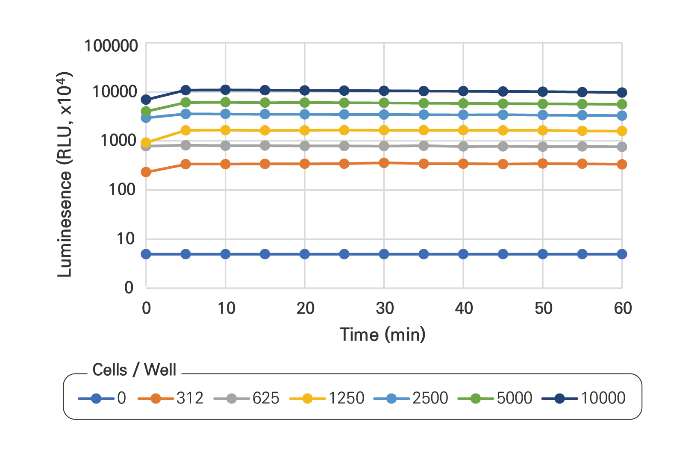 Quanti-ATP Signal stability