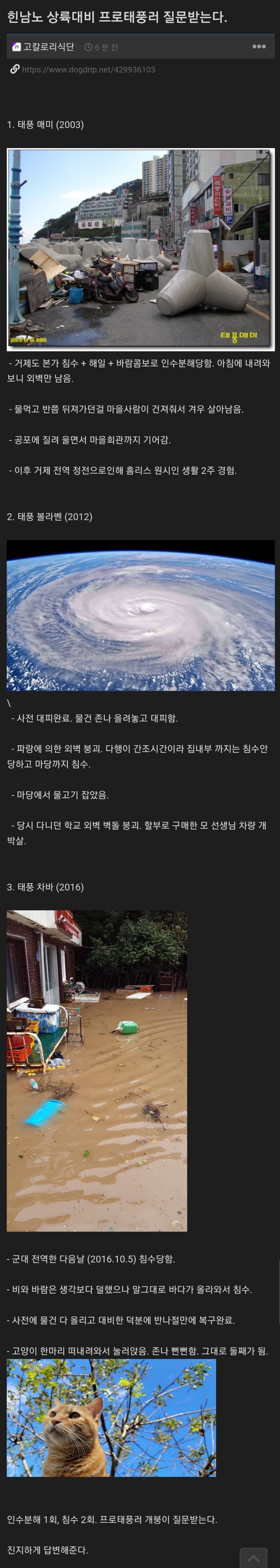  넷상에 나타난 프로태풍러.jpg