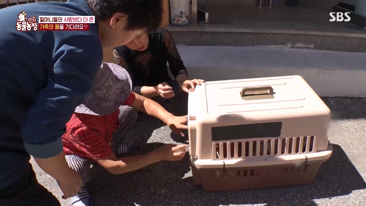 TV 동물농장.E1143.231030p-NEXT.mp4_20231029_164106.402.jpg