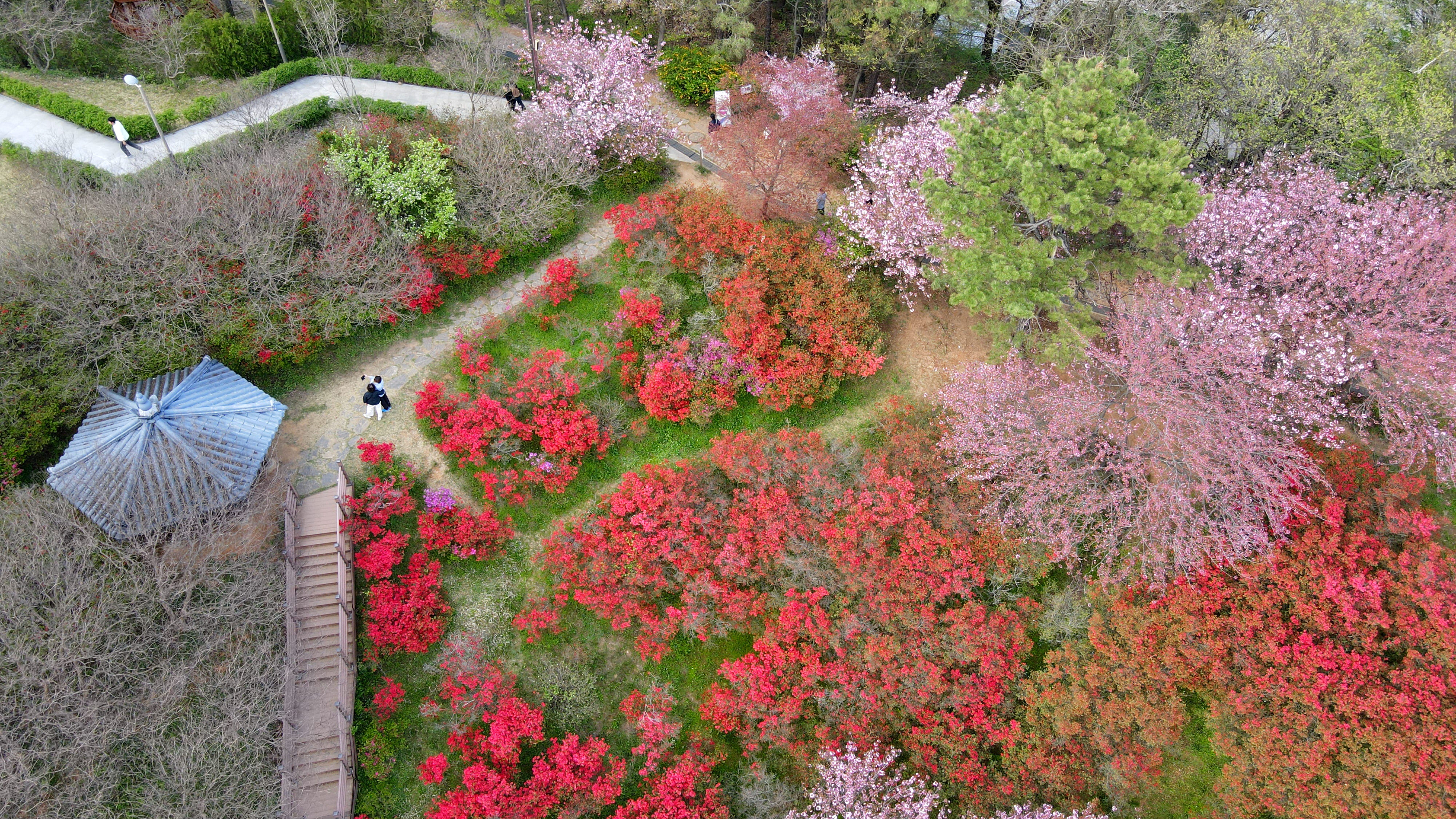 전주 완산칠봉 꽃동산(완산공원) 드론사진