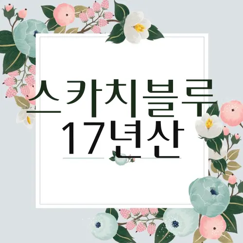 스카치블루 17년산